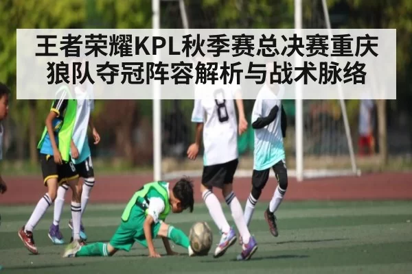 王者荣耀KPL秋季赛总决赛重庆狼队夺冠阵容解析与战术脉络